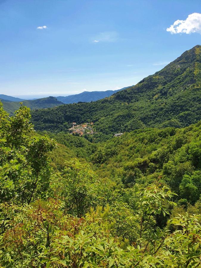 Il Bosco Di Campo Marzano Studios Borzonasca Екстериор снимка