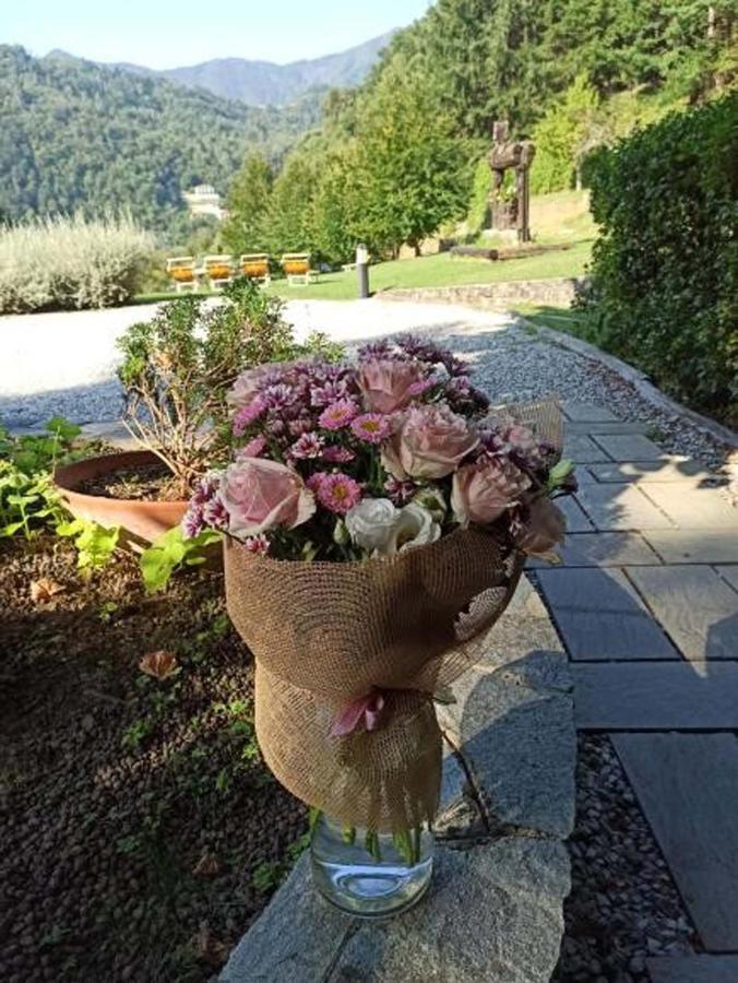 Il Bosco Di Campo Marzano Studios Borzonasca Екстериор снимка