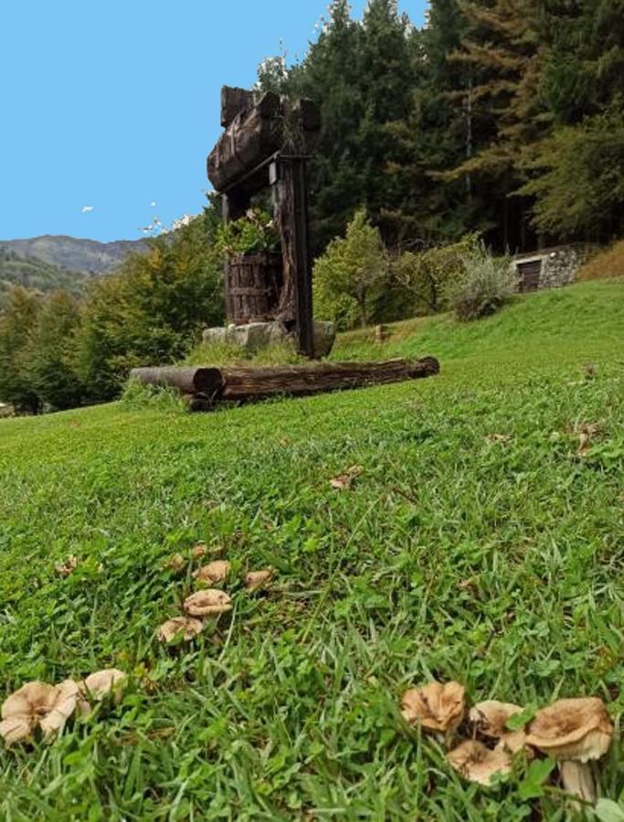 Il Bosco Di Campo Marzano Studios Borzonasca Екстериор снимка
