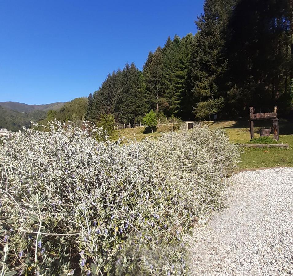 Il Bosco Di Campo Marzano Studios Borzonasca Екстериор снимка