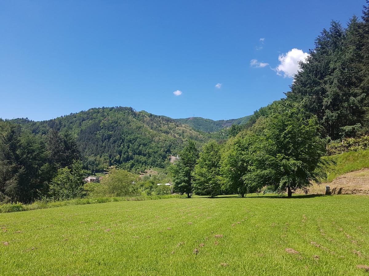 Il Bosco Di Campo Marzano Studios Borzonasca Екстериор снимка