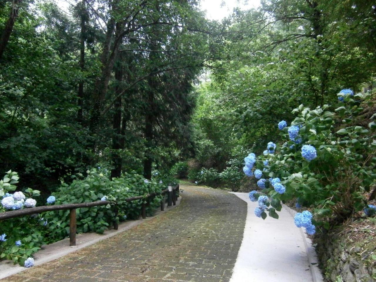 Il Bosco Di Campo Marzano Studios Borzonasca Екстериор снимка