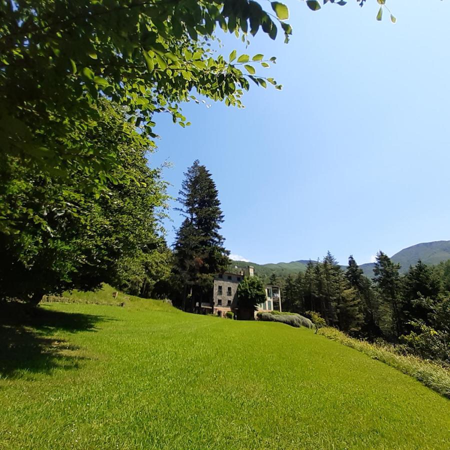 Il Bosco Di Campo Marzano Studios Borzonasca Екстериор снимка