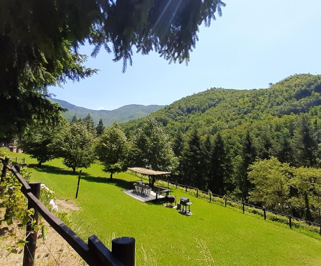 Il Bosco Di Campo Marzano Studios Borzonasca Екстериор снимка
